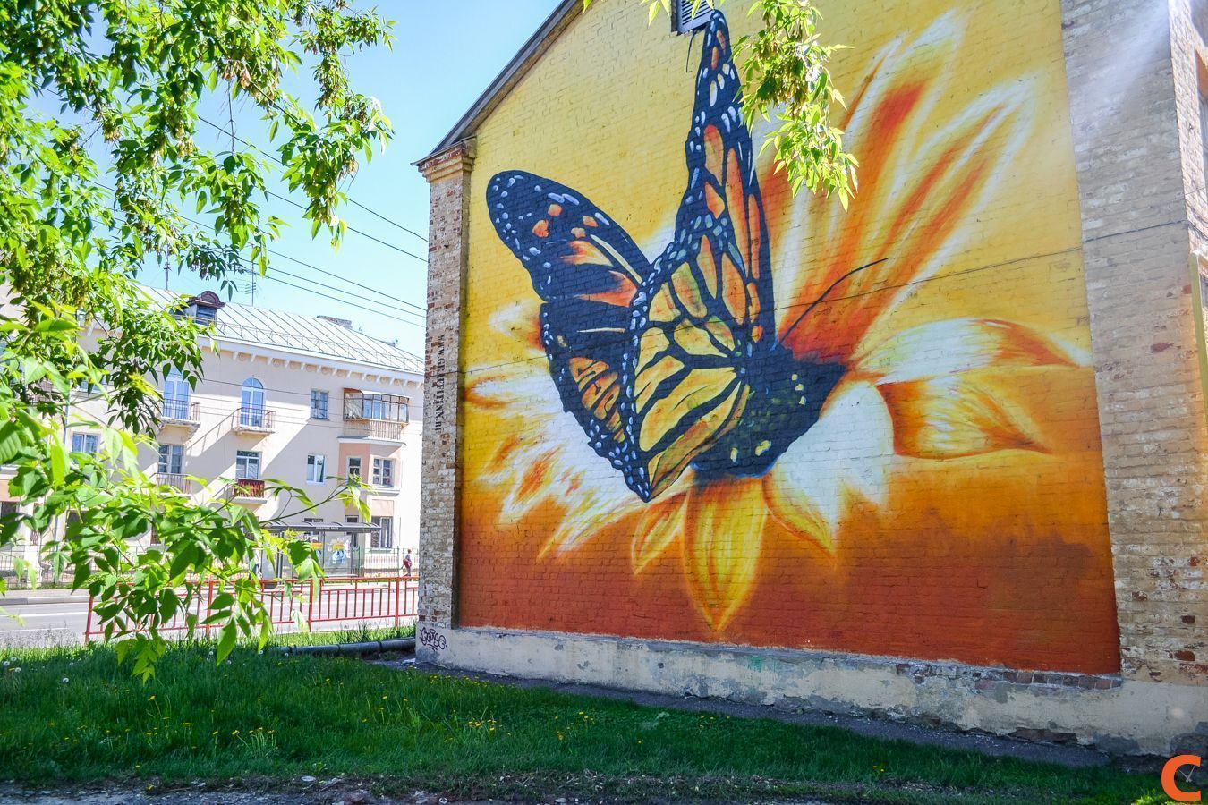 Улица культуры Нижний Новгород граффити