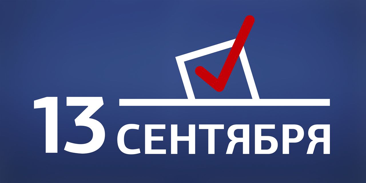 Выборы лого