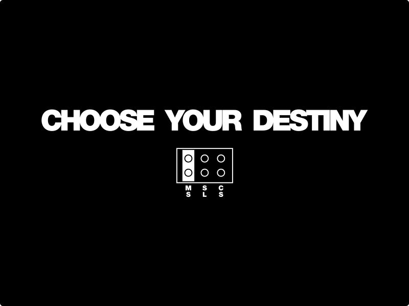 Your destiny. Choose your Destiny. Choose your Destiny блеать. Shoes your Destiny. Estella - choose your Destiny (HOMPOX Inc. Remix).