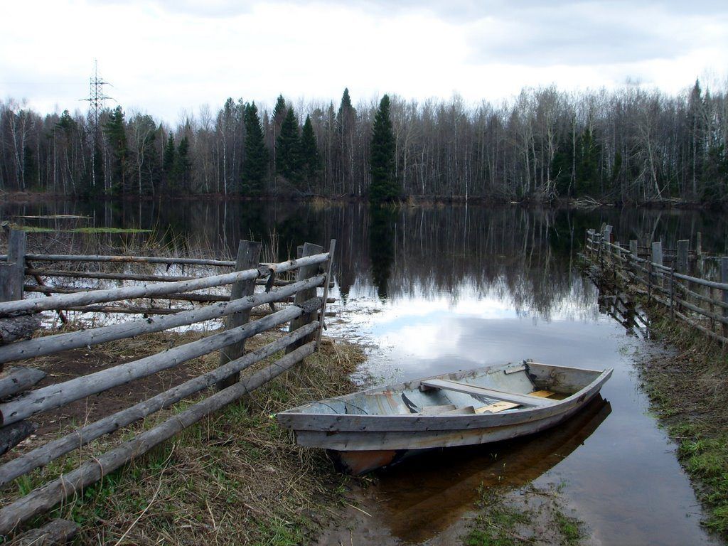река Пижма в Тужинском районе Кировской области. Фото Panjramio.com