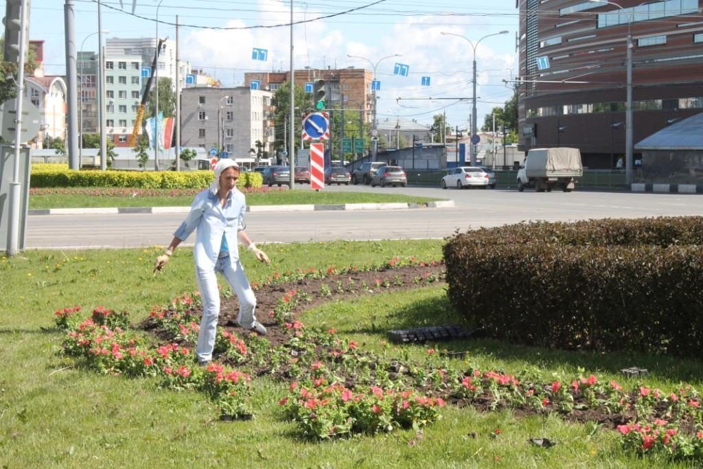Около 90 цветников и 140 вазонов с цветущими растениями появились на улицах Нижнего Новгорода