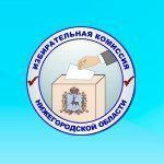 Началось досрочное голосование на довыборах в гордуму Нижнего Новгорода