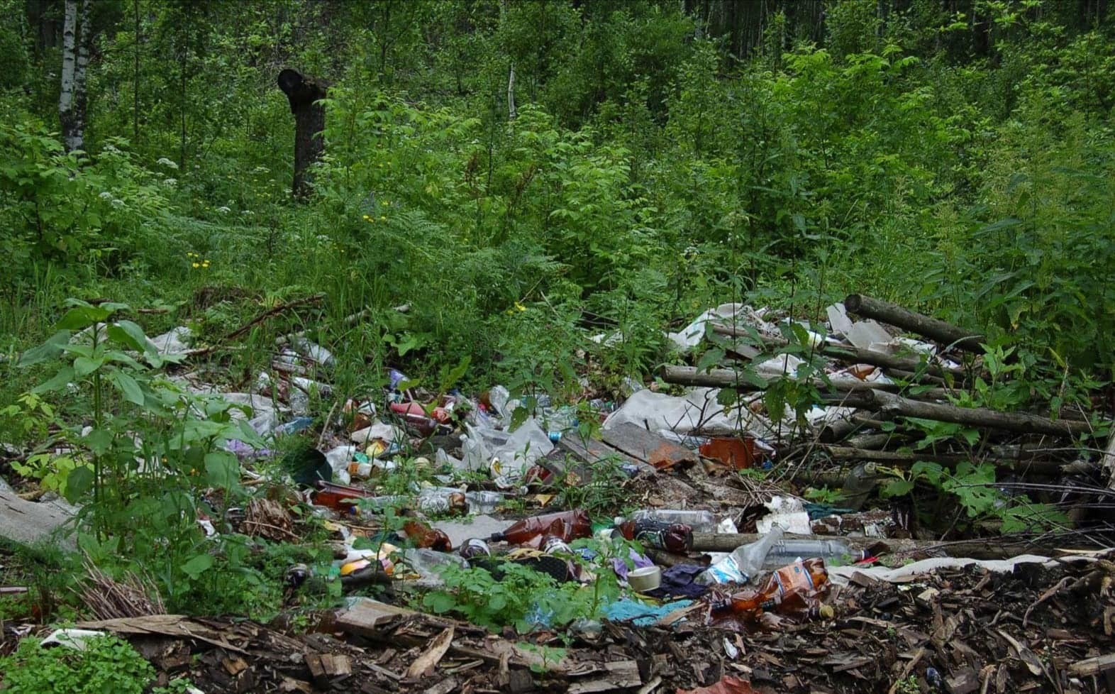 Переработка мусора в нижегородской области