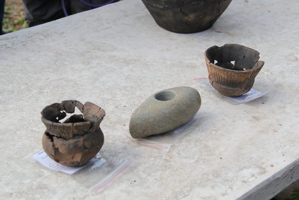 Предметы Бронзового века найдены при раскопках в Кузнечихе