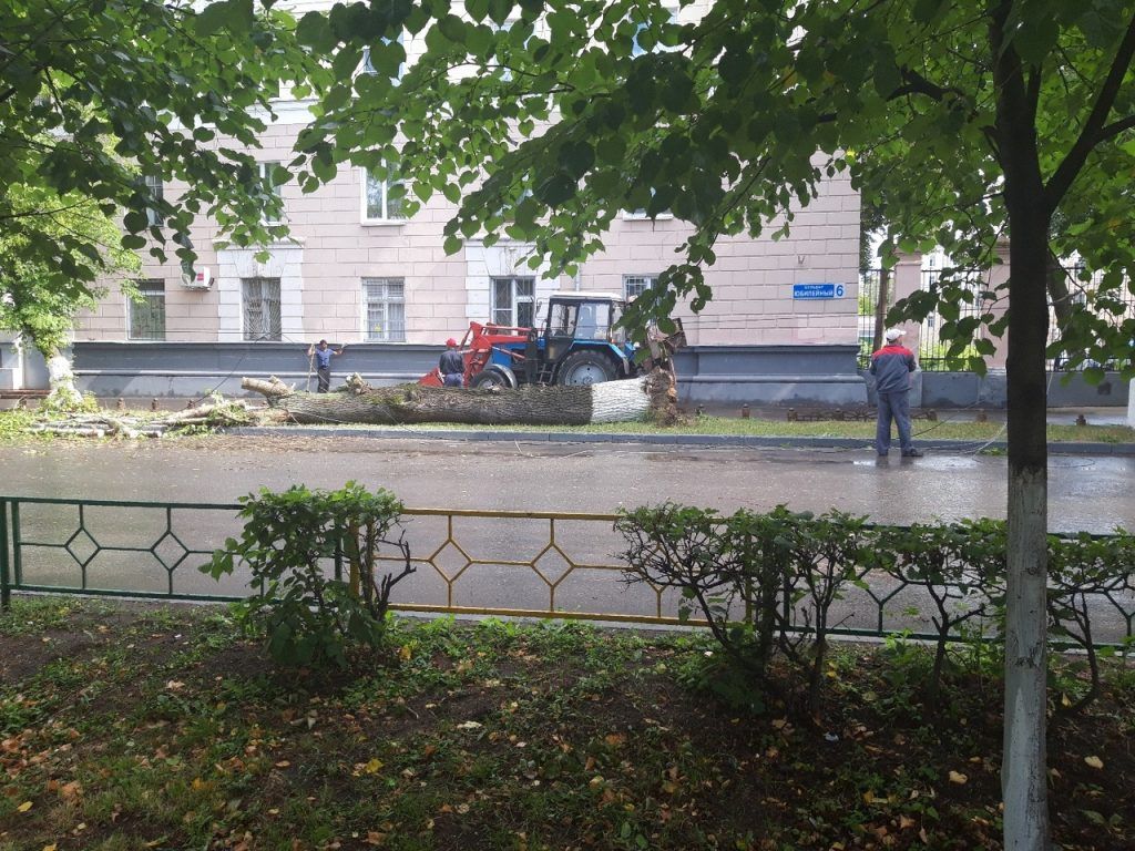 Деревья повалило ветром в Нижнем Новгороде 3 июля