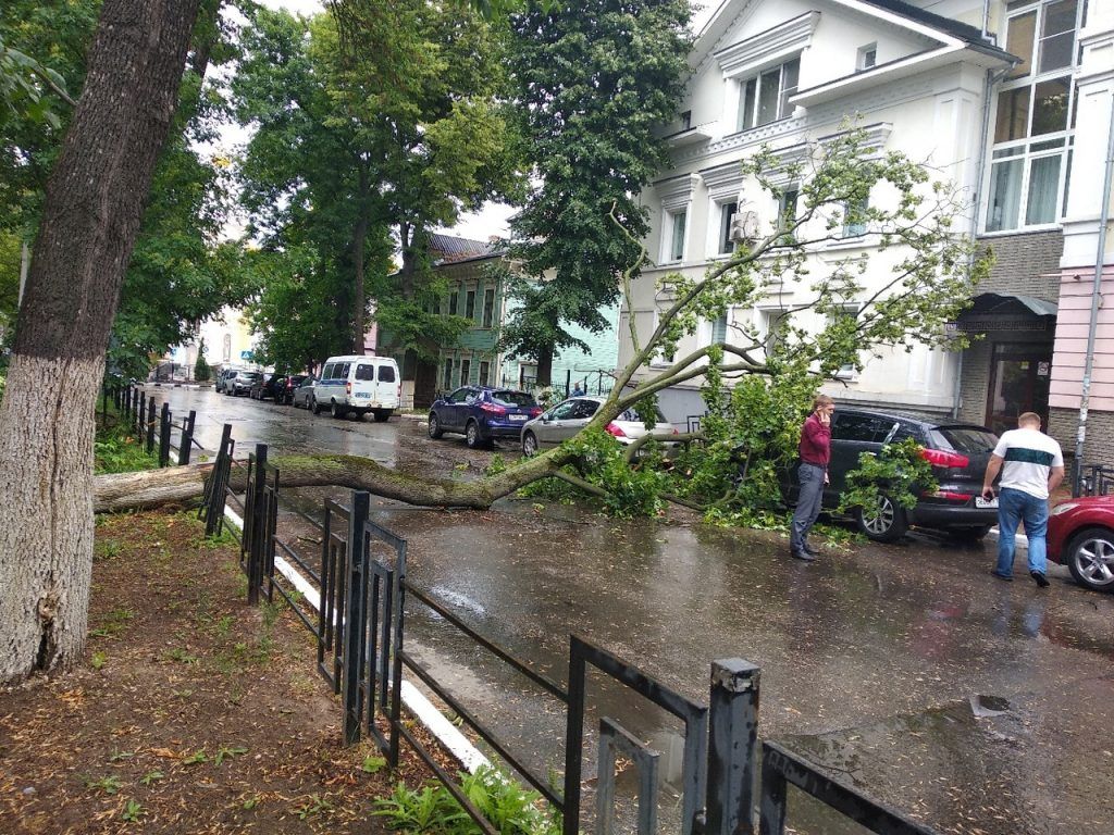 Деревья повалило ветром в Нижнем Новгороде 3 июля