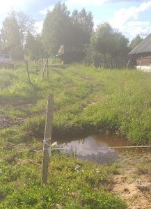 Пять деревень г.о. Семеновский пожаловались на отсутствие цивилизации