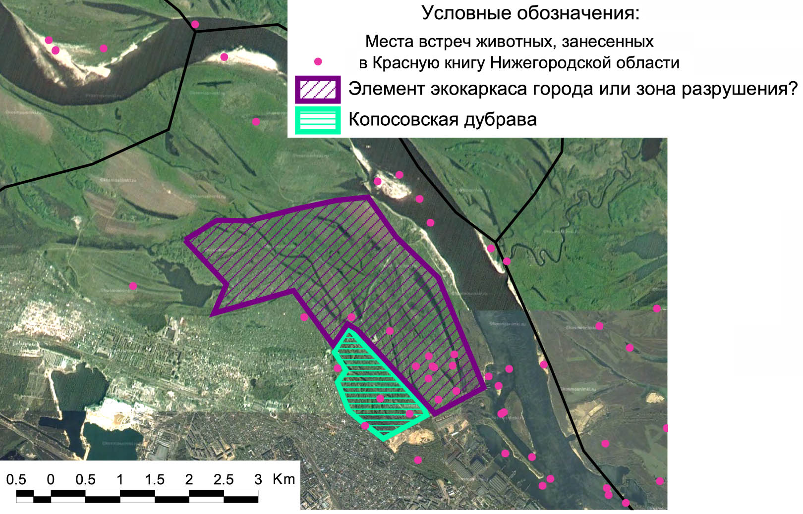 Кадастровая карта нижняя пойма