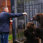Нижегородские депутаты переругались из-за вопроса о помощи зоопарку