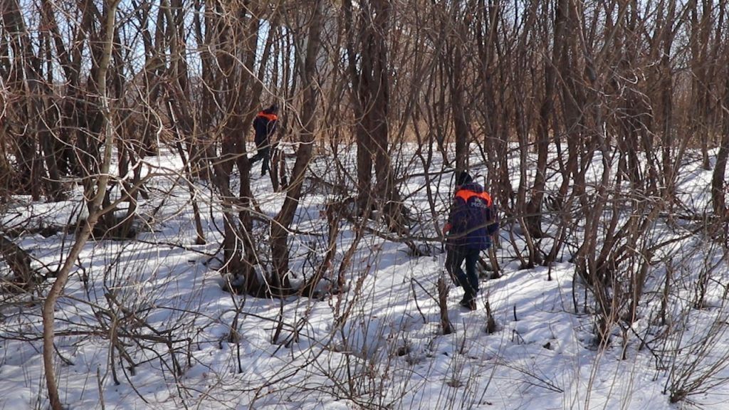 Спасателям пока не удалось эвакуировать собаку с Гребневских песков