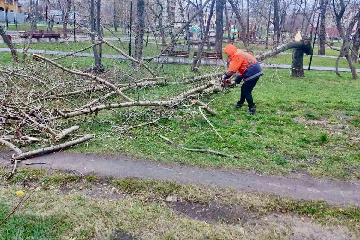 8 деревьев упали из-за сильного ветра в Ленинском районе Нижнего Новгорода  12-13 ноября – Нижний сейчас