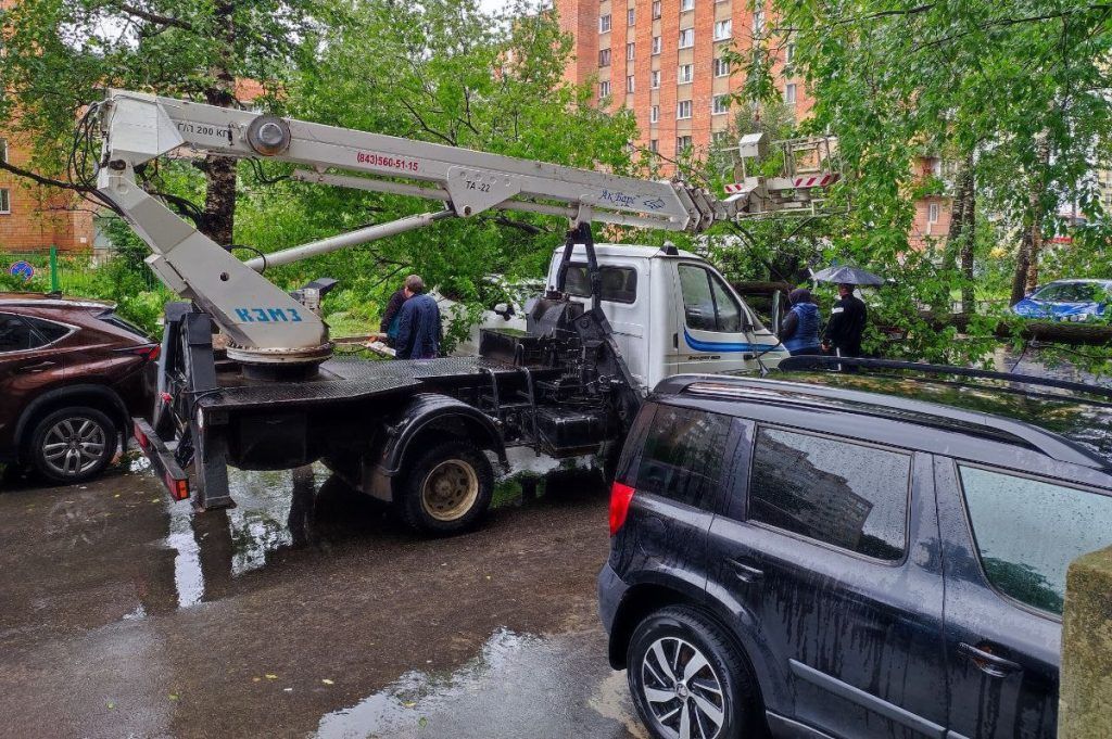Специалисты ДУКов пяти районов Нижнего Новгорода убрали 102 упавших дерева после урагана