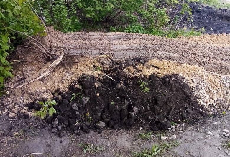 Глава Городца Мудров прикрыл точку слива отходов канализации