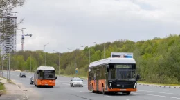 Электробус