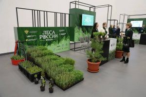 На форуме "Леса России-2025" презентовали нижегородскую разработку "Лесник"