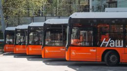 автобусы